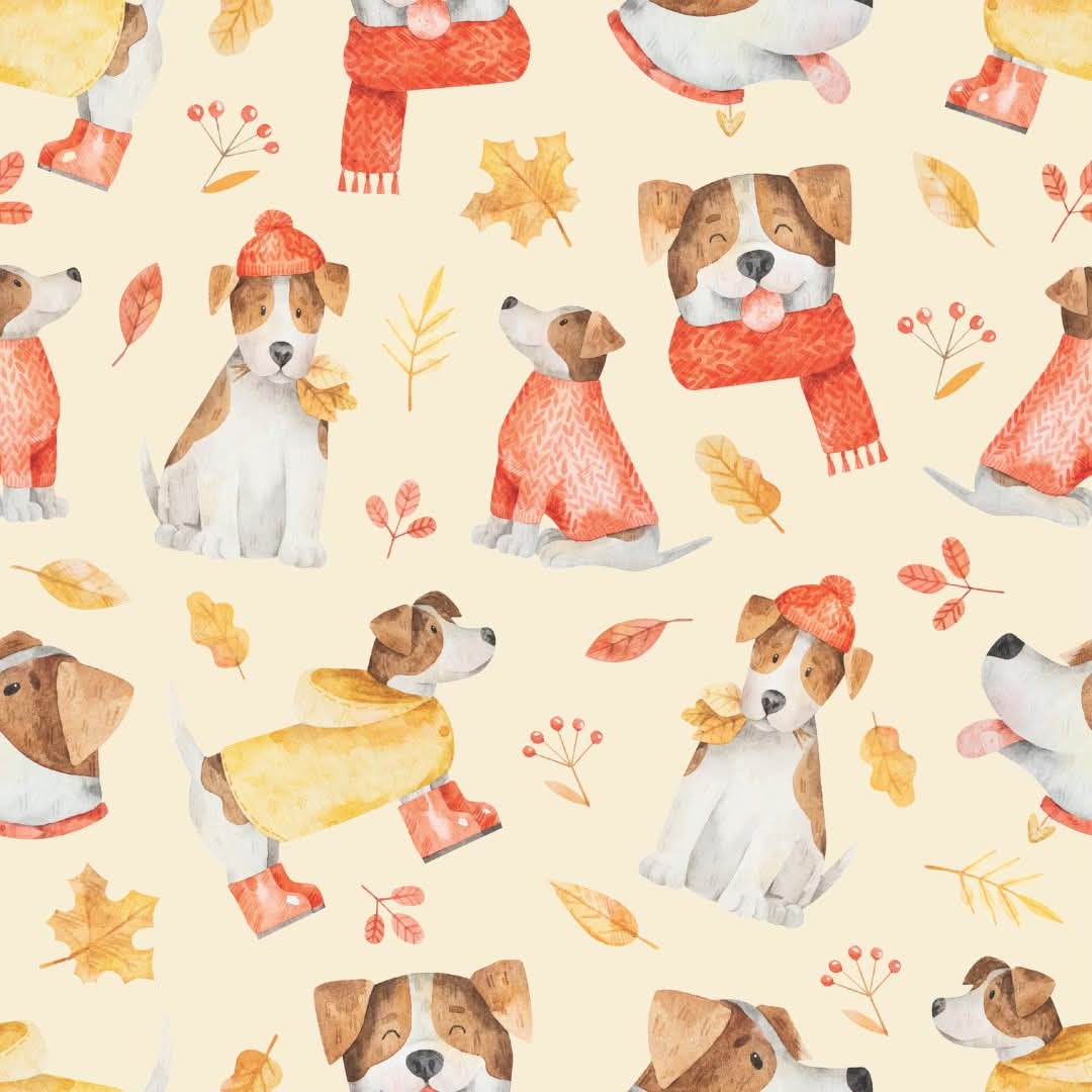 Snuggly Paws Boy (Unisex) Top